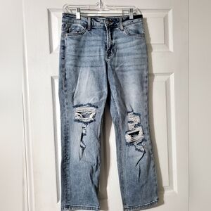 Lovervet Distressed Straight Jean